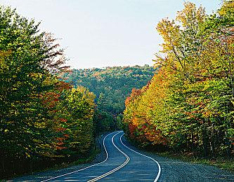 《东北之夏》附加剧情DLC更新上线 全部免费游玩